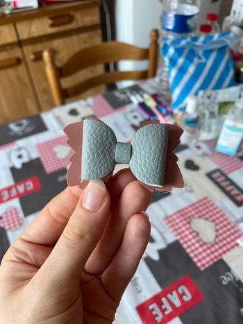 Barrette noeud pince crocodile.