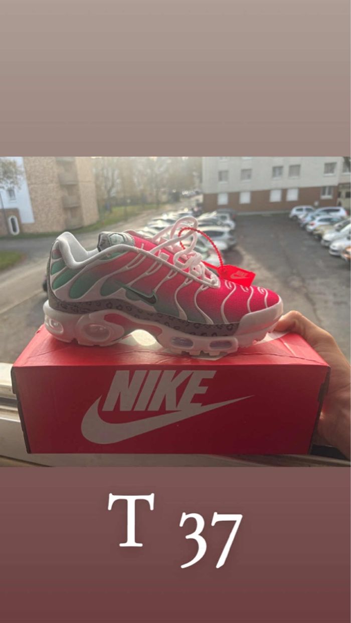 Vend tn - photo numéro 2