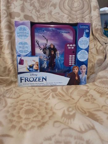 Journal intime électronique Frozen