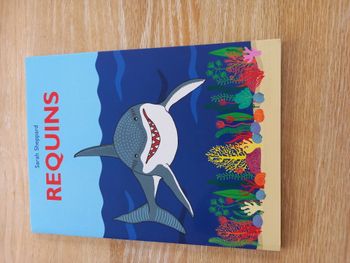 Requins dès 8 ans - Neuf