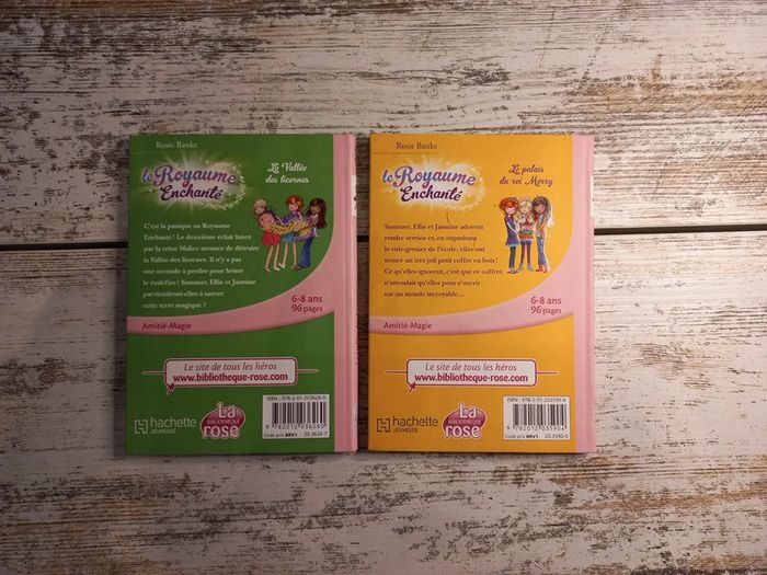 Lot 2 livres - photo numéro 2