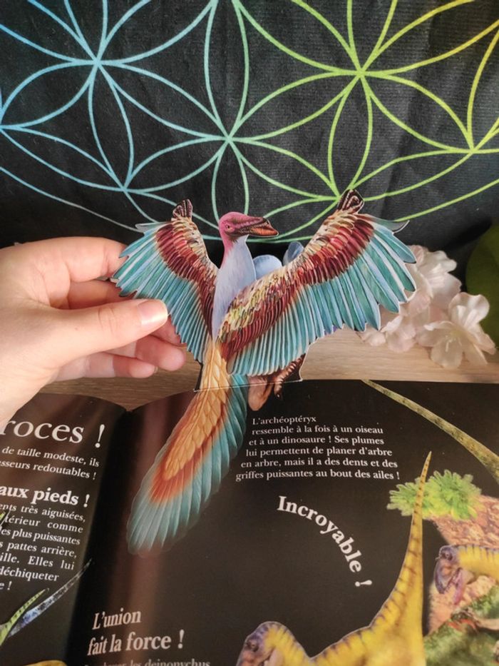Incroyables dinosaures – L'incroyable encyclopédie – Larousse - photo numéro 20