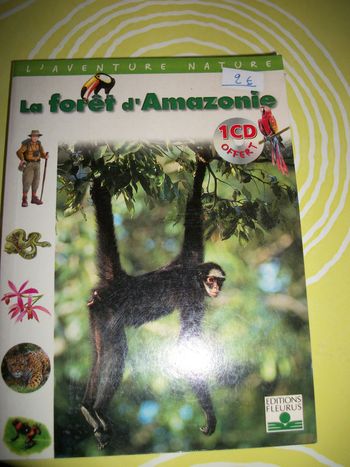 la forêt d'amazonie  livre jeunesse