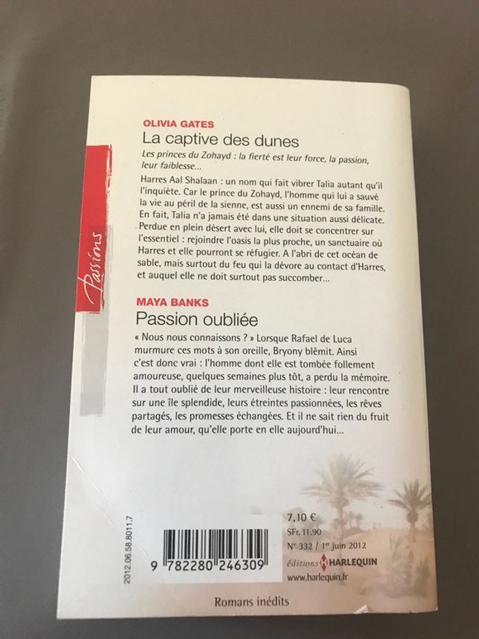 Livre La captive des dunes - photo numéro 2