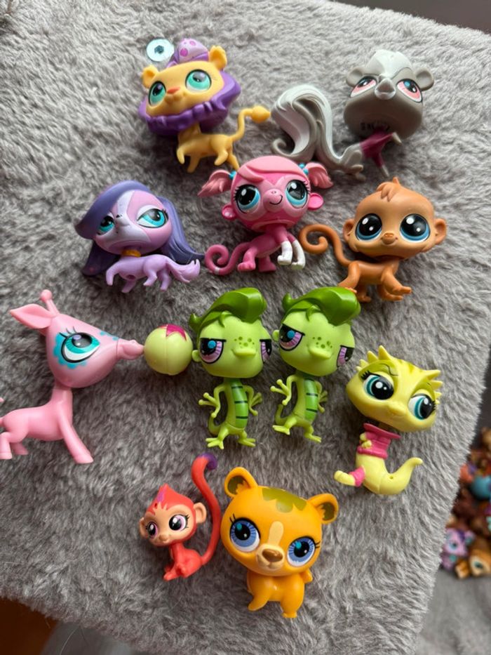 Lot petshops - photo numéro 2