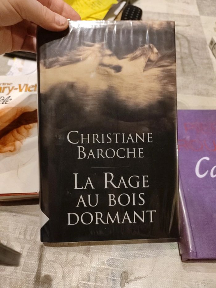 Lots de 3 romans - photo numéro 3