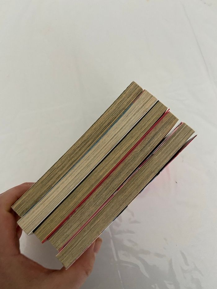 Lot de 5 Mangas Shojo thème culte - photo numéro 5