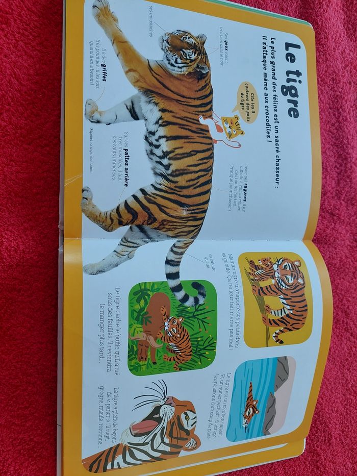 Encyclopedie 2-5ans Dokeo des animaux - photo numéro 6