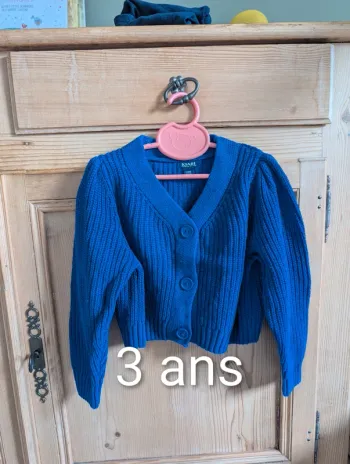 Gilet bleu électrique 3 ans