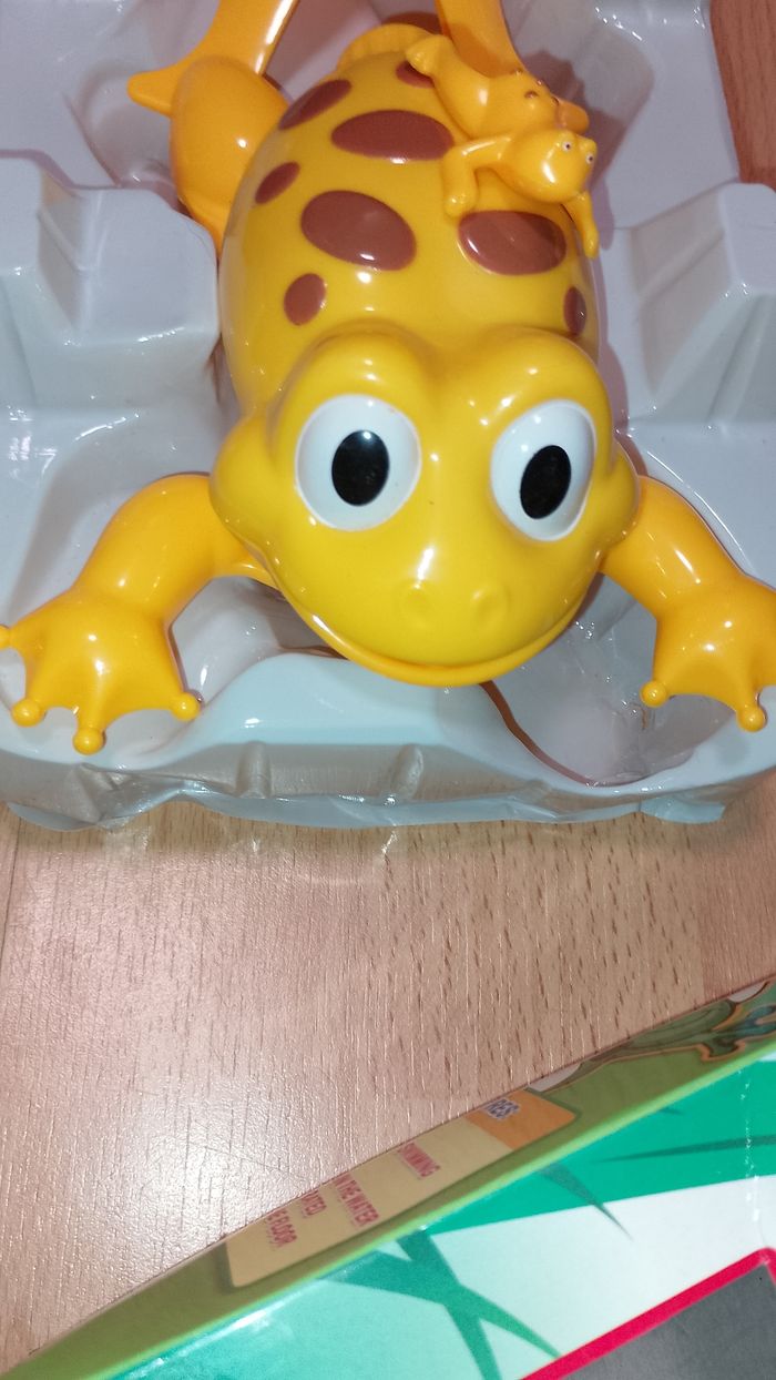 Grenouille bain, piscine - photo numéro 3