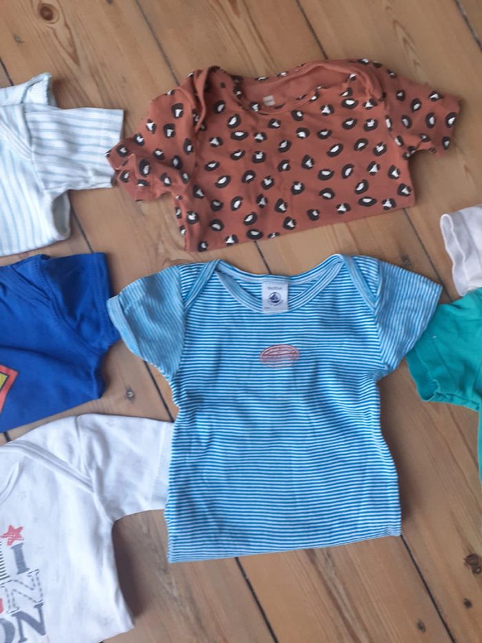 7 bodys manches courtes 18m/86cm - photo numéro 3