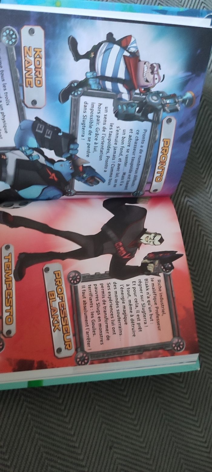 Livre skugterea le guérisseur - photo numéro 3