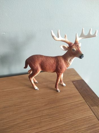Cerf de Virginie Schleich
