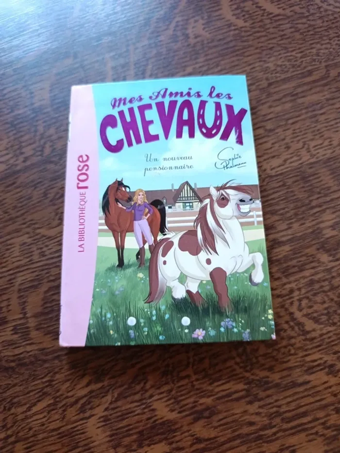 Mes amis les chevaux 1