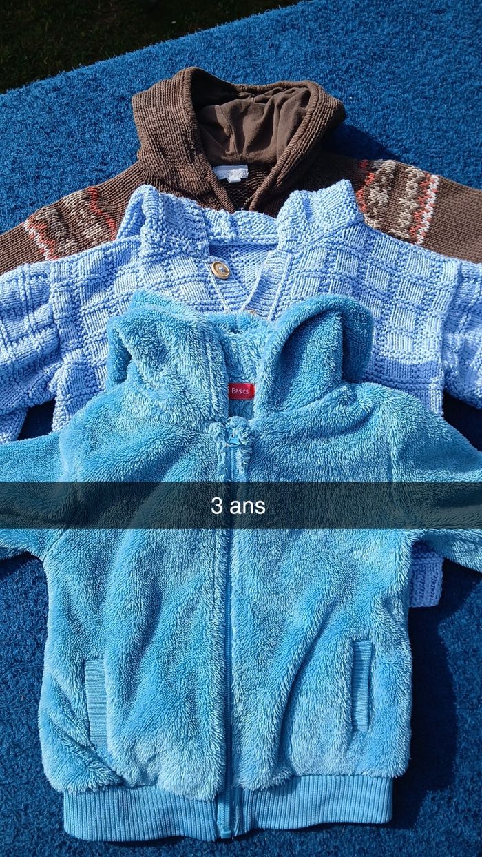 Lot gilets vestes