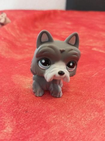 Littlest lps petshop scottish terrier 1860