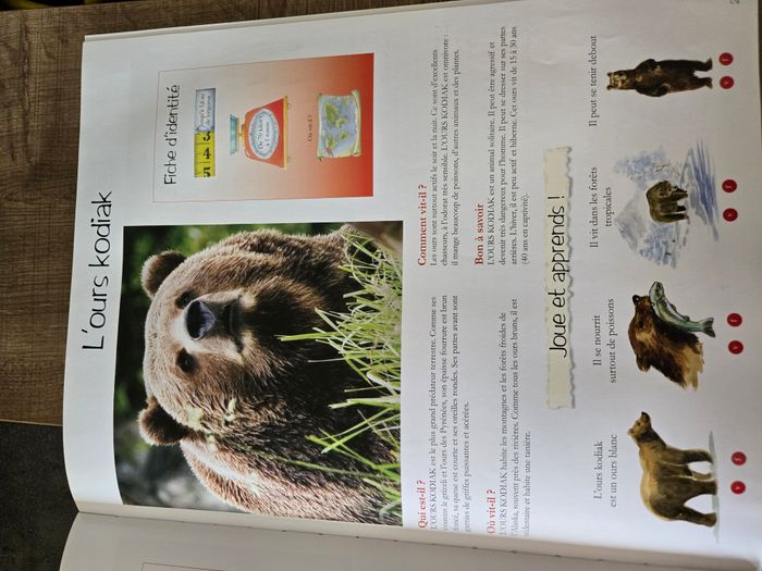 livre "mon grand animalier" - photo numéro 2