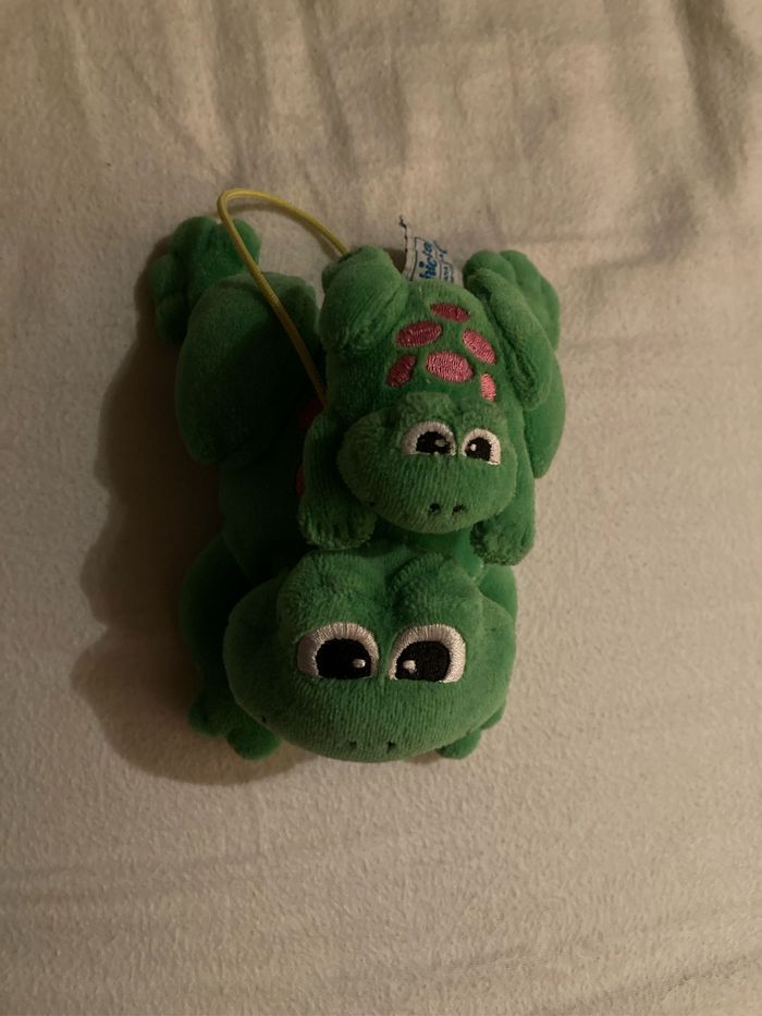 Maman et bébé grenouille