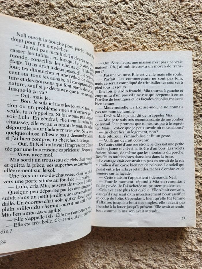 Roman L’île des trois sœurs, Tome 1 : Nell de Nora Roberts – Romance et mystère - photo numéro 6