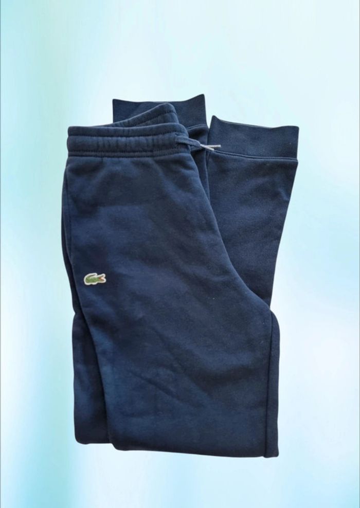 Lacoste pantalon de survetement molleton * taille 12 ans *