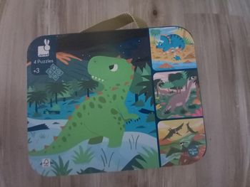 Valise 4 puzzles évolutifs