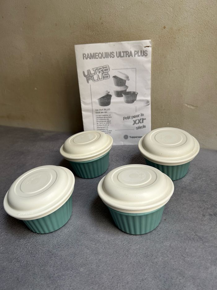 Lot plat ultra plus Tupperware ramequins avec manuel+ terrine