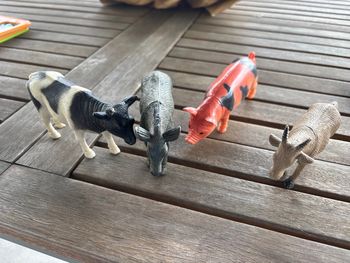 Animaux en plastique