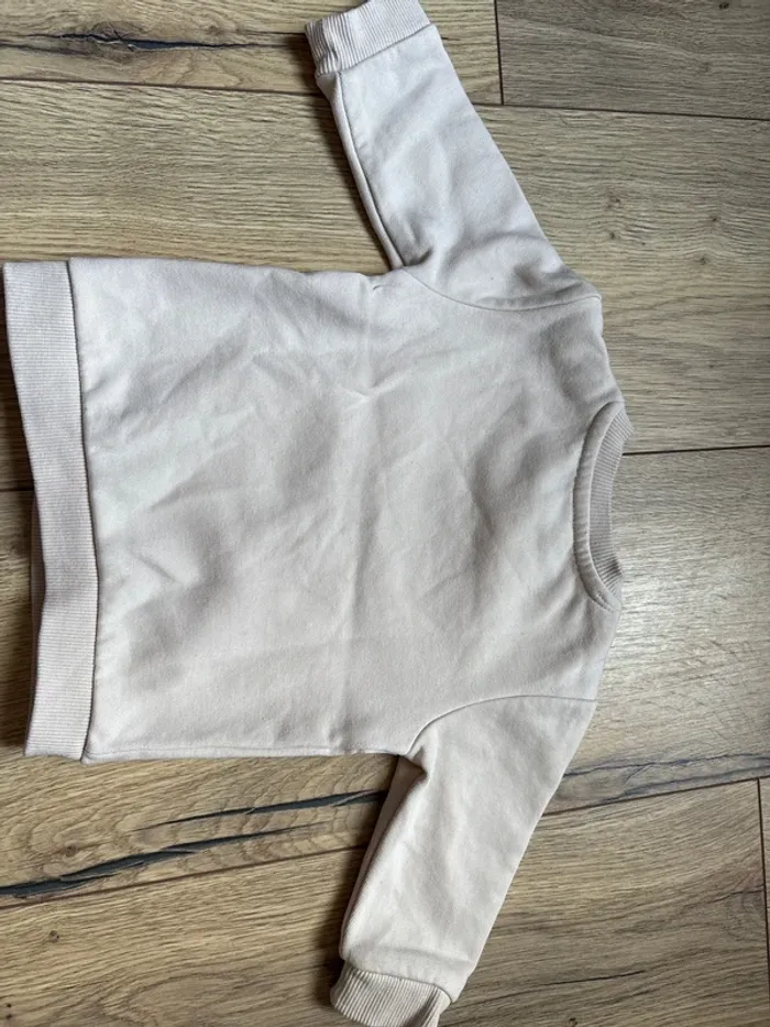 Pull dinausore - photo numéro 3
