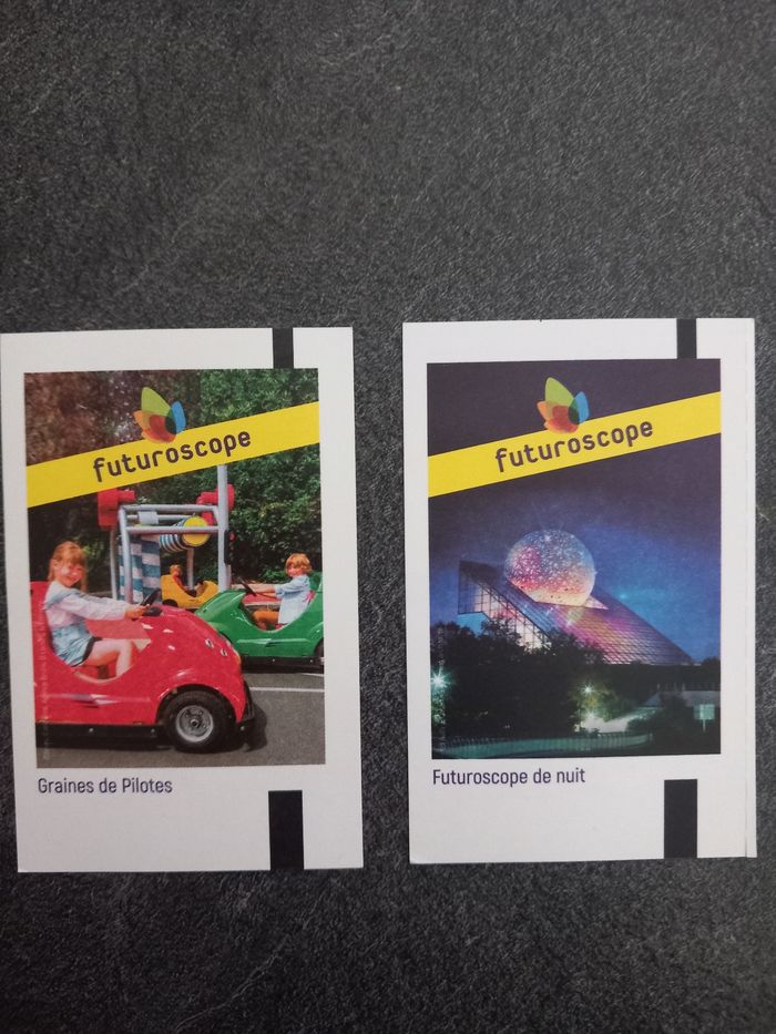 2 entrées adultes Futuroscope