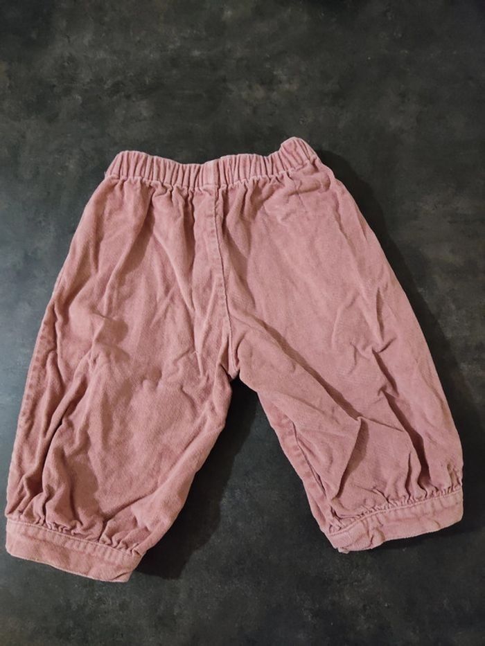 Bermuda 2 ans - photo numéro 2