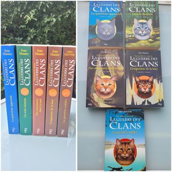 La guerre des clans, grand format, Cycle 4 : les signes du destin, livres 1 à 5