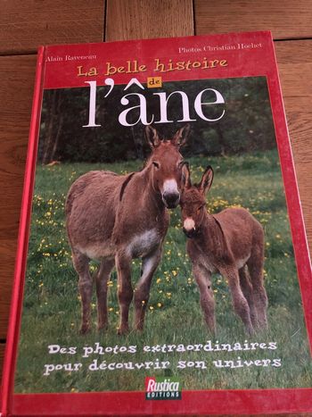 La belle histoire de l’âne