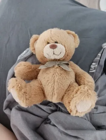 Doudou ours