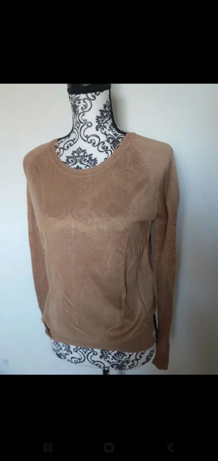 Pull camel mi saison