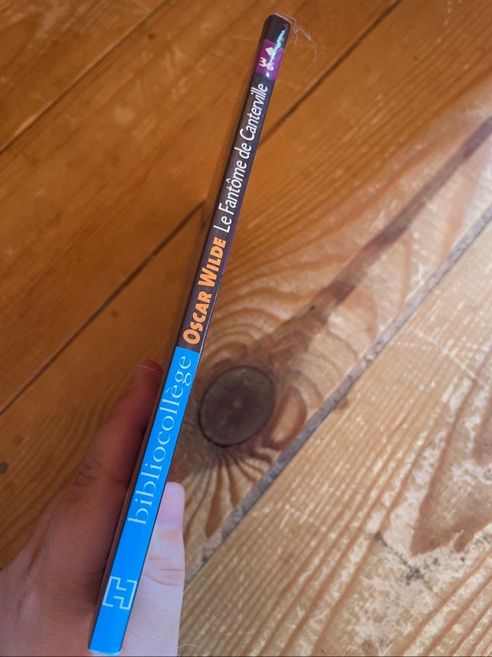 Livre - Le fantôme de Canterville - photo numéro 3