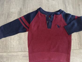 Pull dinosaures