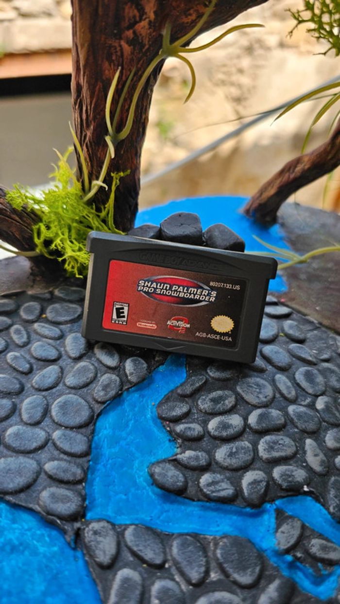 Super jeu Nintendo gameboy advance shaun palmer's pro snowboarder - photo numéro 1