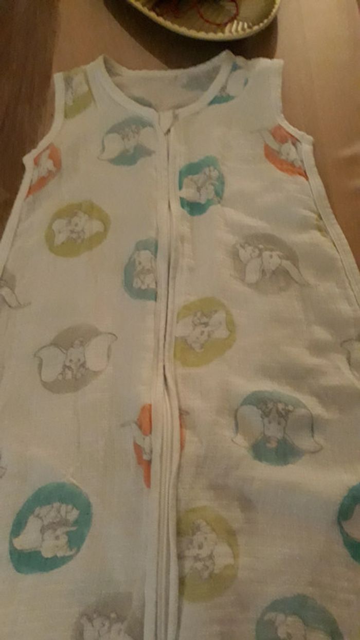 Gigoteuse fine TOG 1 Disney baby - photo numéro 3