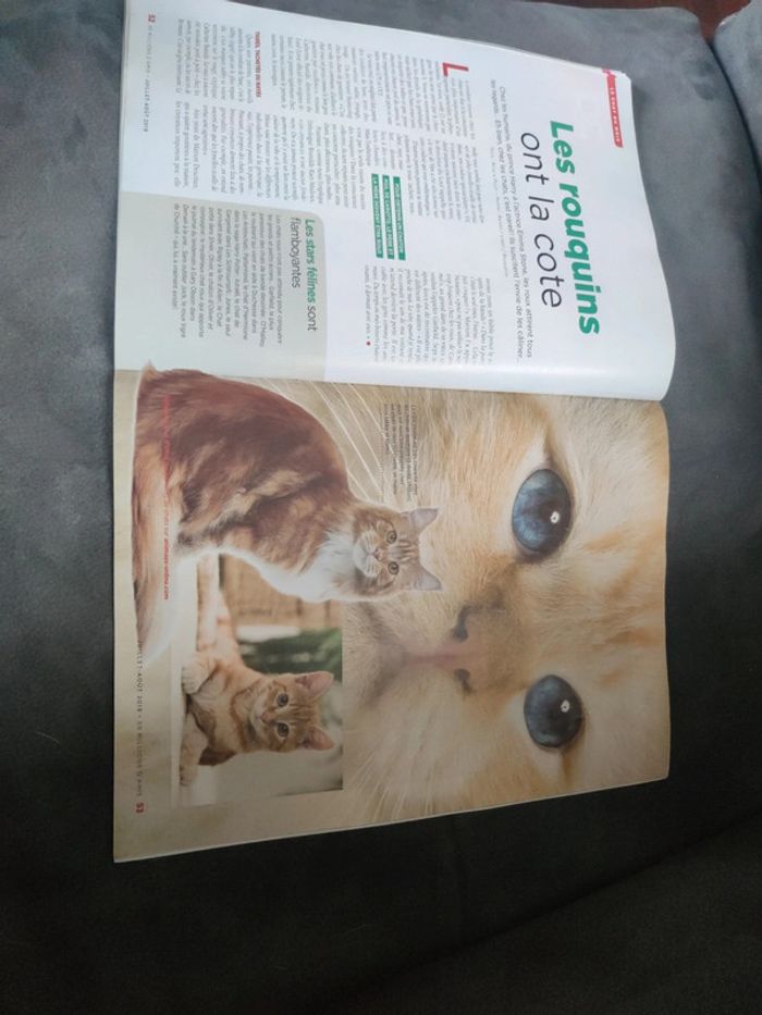 Magazine 30 millions d'amis numéro 375 été 2019 - photo numéro 9