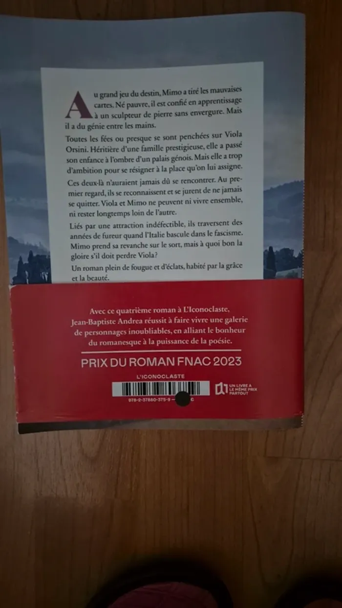Roman "Veiller sur elle", Prix Goncourt 2023 - photo numéro 3