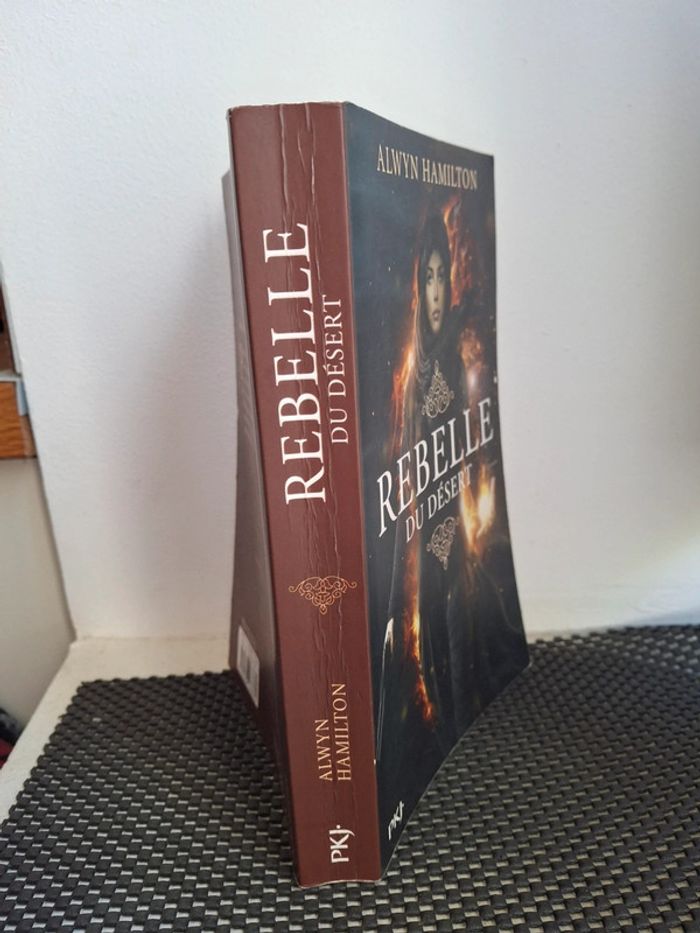Roman: Rebelle du désert de Alwyn Hamilton tome 1 - photo numéro 3
