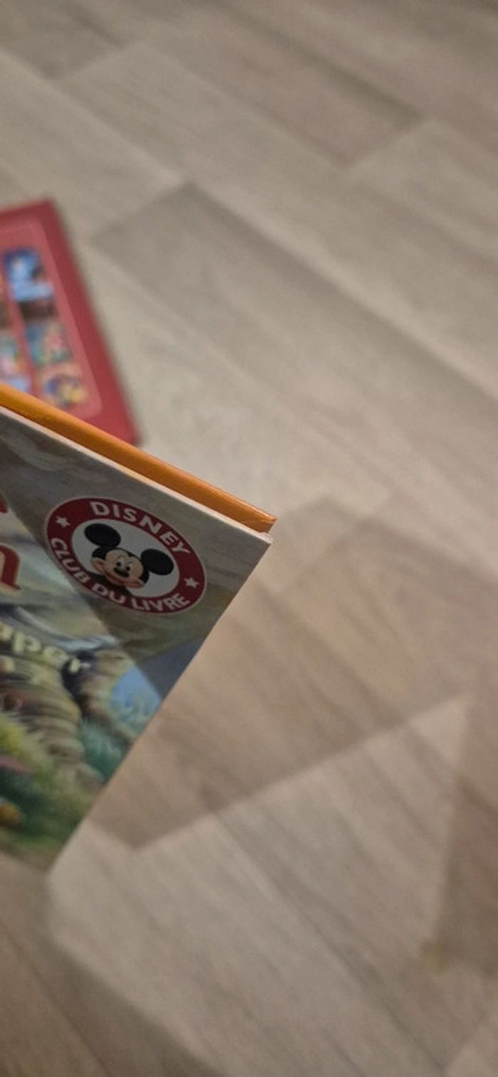 Lot de 3 livres - Winnie l'ourson - photo numéro 12