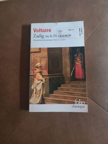 Zadig ou la destinée