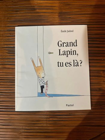Livre : Grand lapin, tu es là ?