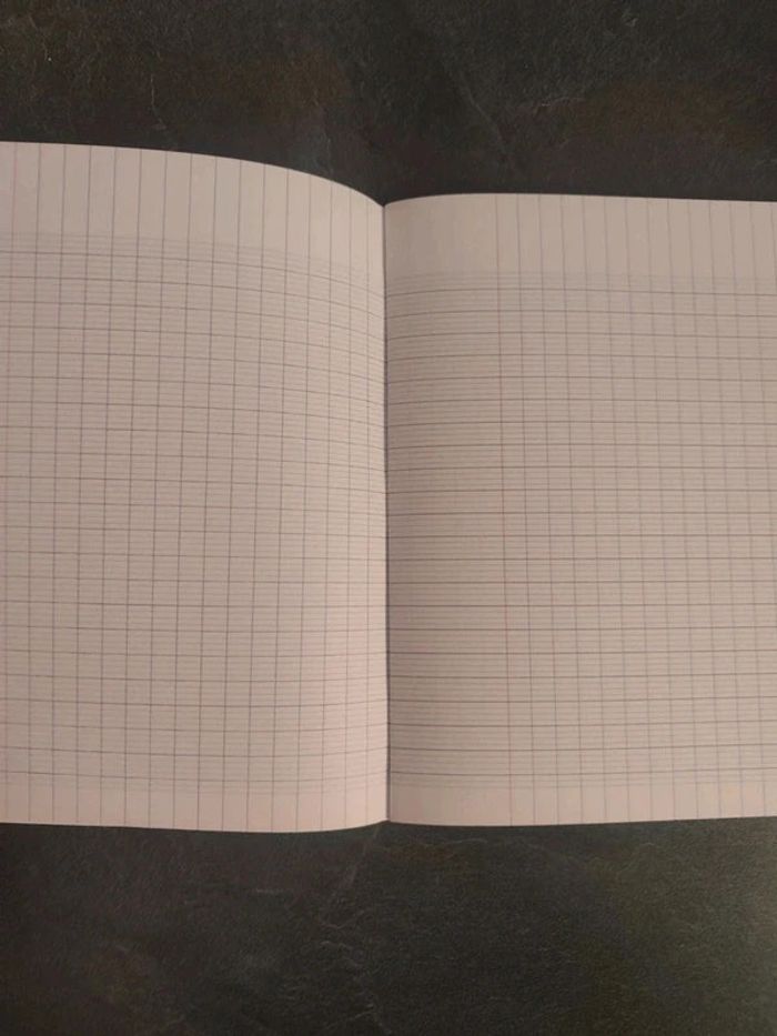 Petit cahier magique clairefontaine - photo numéro 5