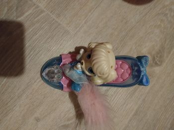 Chien cendrillon avec pantoufle de verre