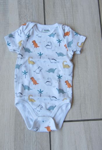 Bodie 6 mois theme dinosaures