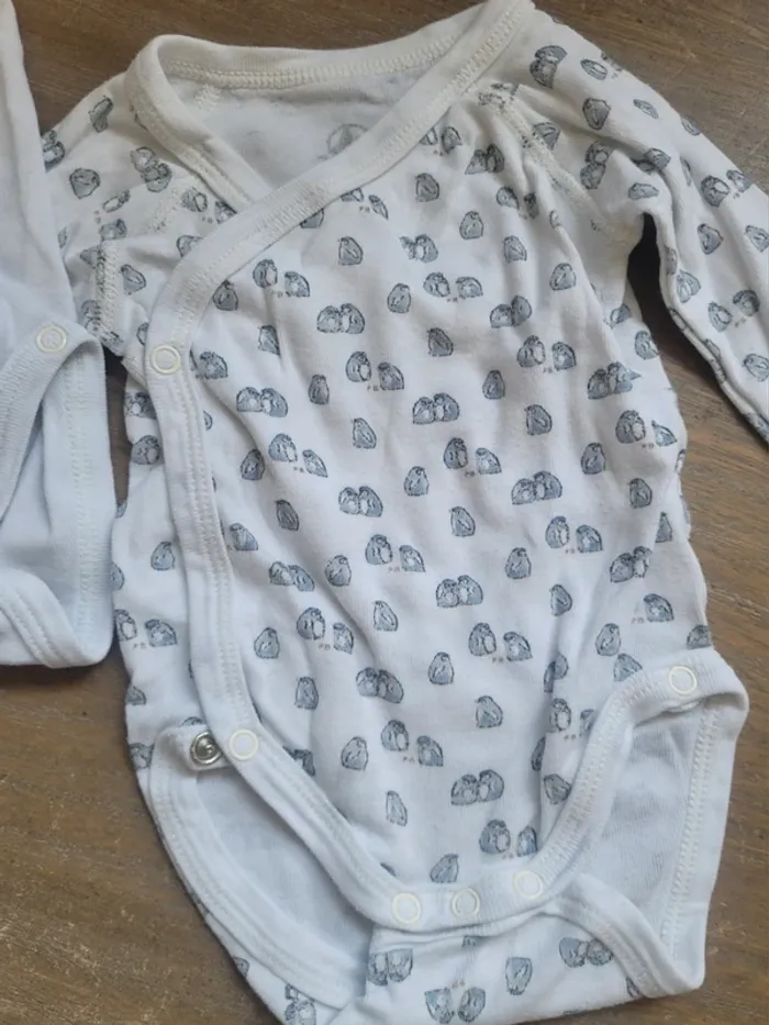 Lot 2 bodies manches longues Petit Bateau - photo numéro 2