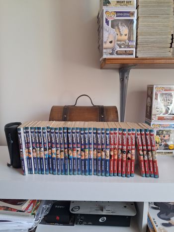 Manga Prisonnier Riku tome 1 au tome 32 lot