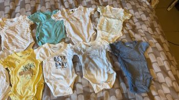 Lot bodies